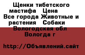 Щенки тибетского мастифа › Цена ­ 80 - Все города Животные и растения » Собаки   . Вологодская обл.,Вологда г.